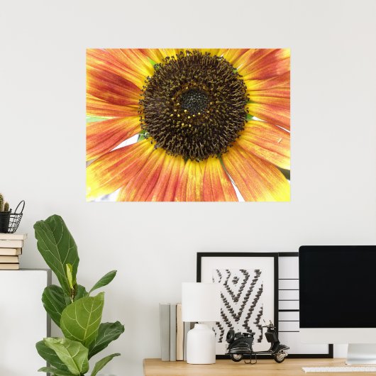Orange Sonnenblumen Print Poster (Heimbüro)