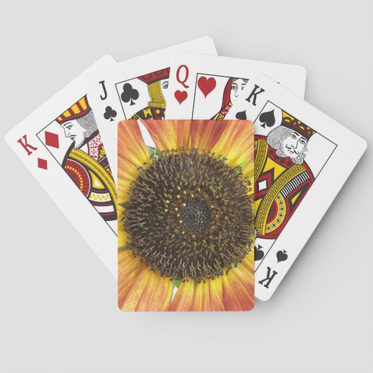 Orange Sonnenblumen Spielkarten (Rückseite)