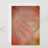 Orange Sonnenblumenhochzeit Save The Date (Rückseite)