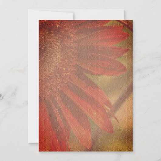 Orange Sonnenblumenhochzeit Save The Date (Rückseite)