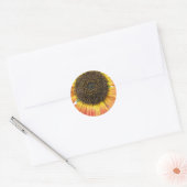 Orange Sonnenblumenkleber Runder Aufkleber (Umschlag)