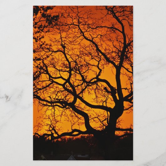 Orange Sonnenuntergang Briefpapier (Vorderseite)