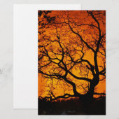 Orange Sonnenuntergang Briefpapier (Vorne/Hinten)