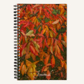 Orange Sourwood Autumn Leaves Botanical Notizblock (Vorderseite)