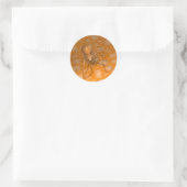 Orange Spider Runder Aufkleber (Tasche)