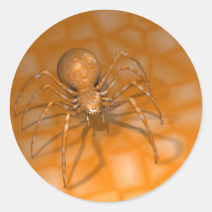 Orange Spider Runder Aufkleber