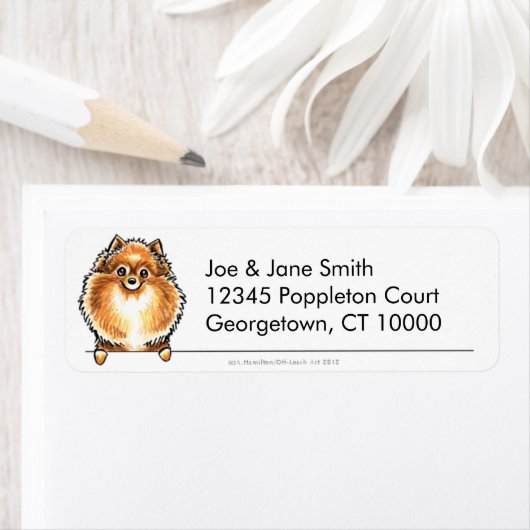 Orange Spitz sauber und einfach (Insitu)