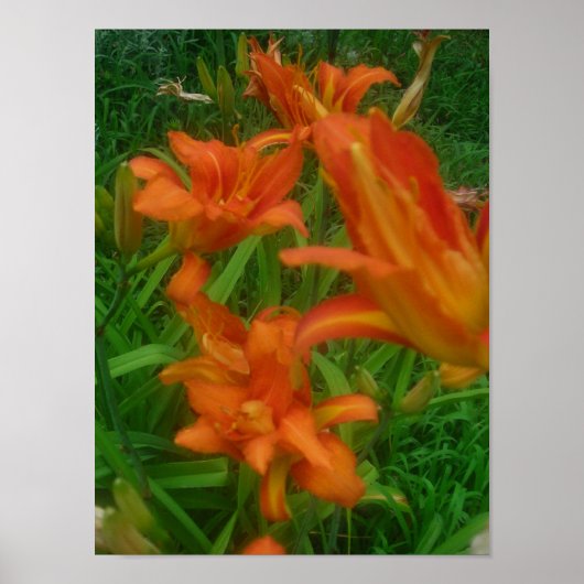 Orange-Splash Poster (Vorne)