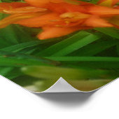 Orange-Splash Poster (Ecke)