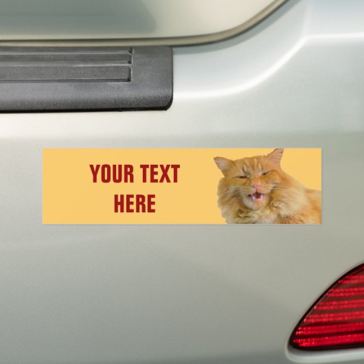 Orange sprechenkatzen-Kürbis Ihr Text Autoaufkleber (Auf Auto)