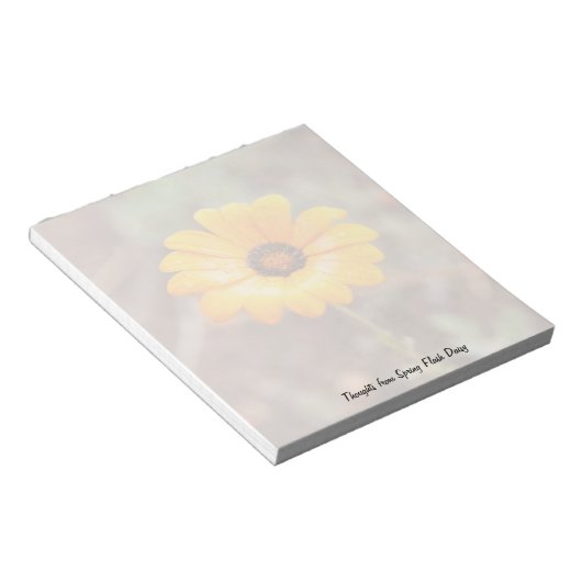 Orange Spring Flash African Daisy Blume Foto Notizblock (angewinkelt)