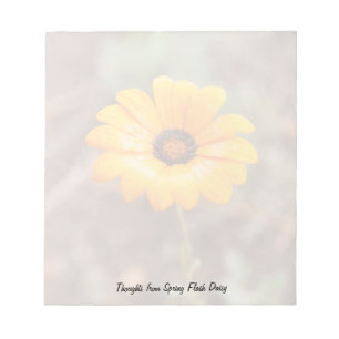 Orange Spring Flash African Daisy Blume Foto Notizblock
