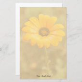 Orange Spring Flash African Daisy Foto Template Briefpapier (Vorne/Hinten)