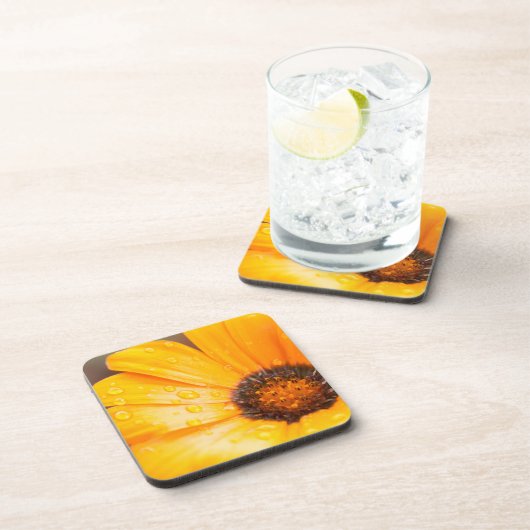 Orange Spring Flash African Daisy Nah Up Foto Getränkeuntersetzer (Rechte Seite)