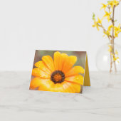 Orange Spring Flash African Daisy Nah Up Foto Karte (Gelbe Blume)