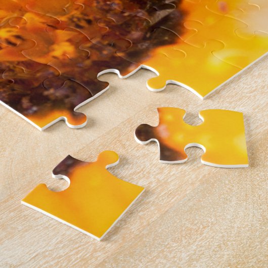 Orange Spring Flash African Daisy Nah Up Foto Puzzle (Seite)