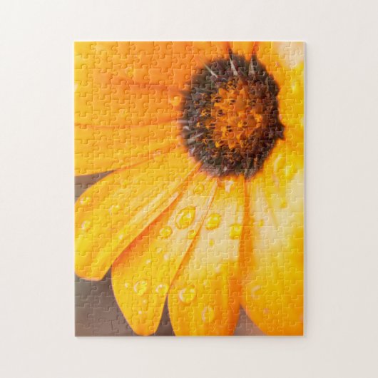 Orange Spring Flash African Daisy Nah Up Foto Puzzle (Vertikal)