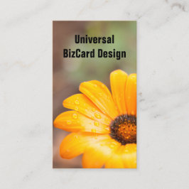 Orange Spring Flash African Daisy Nah Up Visitenkarte