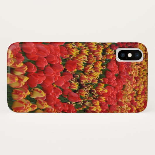 Orange spring tulips Case-Mate iPhone hülle (Rückseite (Horizontal))