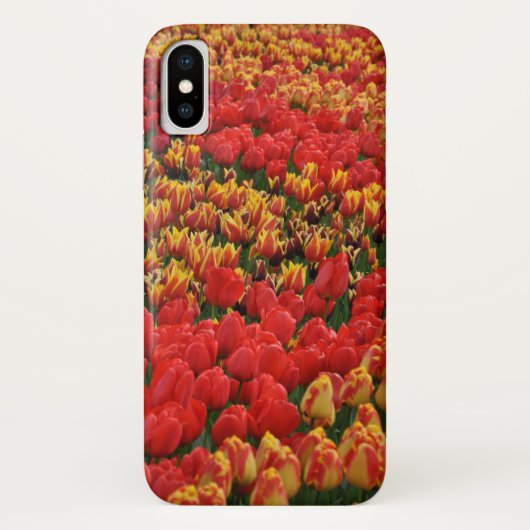 Orange spring tulips Case-Mate iPhone hülle (Rückseite)