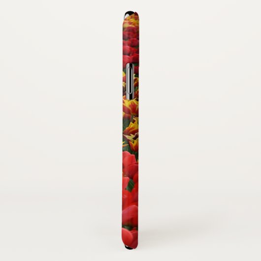 Orange spring tulips Case-Mate iPhone hülle (Hinten/Rechts)