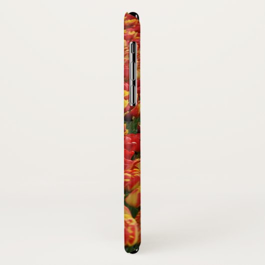 Orange spring tulips Case-Mate iPhone hülle (Hinten/Links)