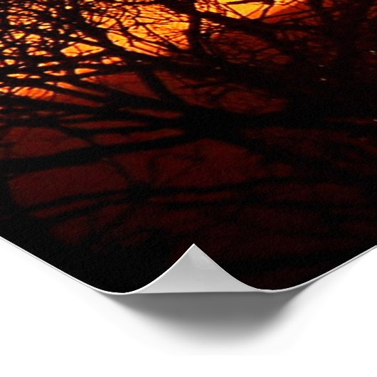 Orange Squash Sunset Poster (Ecke)