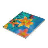 Orange Star Blume Fliese (Seite)