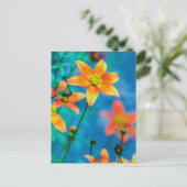 Orange Star Blume Postkarte (Stehend Vorderseite)