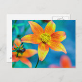 Orange Star Flower Postkarte (Vorne/Hinten)