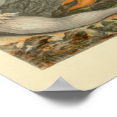 Orange Starfish Seeblick Poster (Ecke)