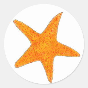 Orange Starfish Star Fish Beach Party Ocean Life Runder Aufkleber