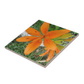 Orange Sternexplosion-Lilie Fliese (Seite)
