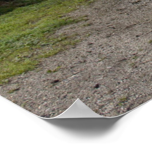 Orange Steyr Tractor KL II Poster (Ecke)