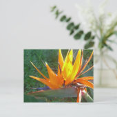 Orange Strelitzia Blume DIY Postkarte (Stehend Vorderseite)