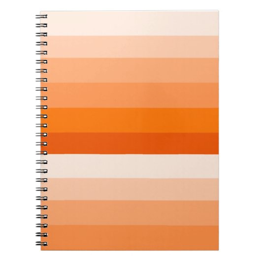 Orange Stripe Spiral Notebook Notizblock (Vorderseite)