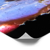 Orange Striped Blenny Poster (Ecke)
