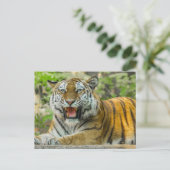 Orange Striped Tiger Postkarte (Stehend Vorderseite)