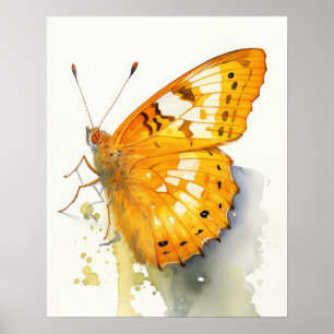 Orange Sulfur Butterfly Art Print Poster