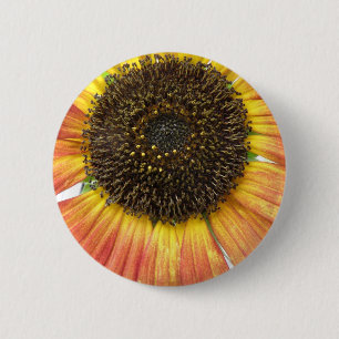 Orange Sunflower Button