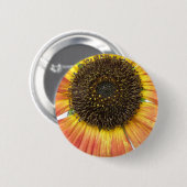 Orange Sunflower Button (Vorne & Hinten)
