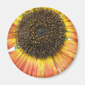 Orange Sunflower Magnet (Vorne)