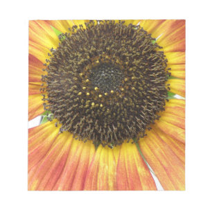 Orange Sunflower Notepad Notizblock