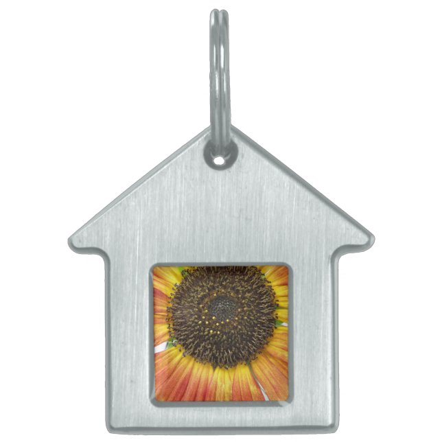 Orange Sunflower Pet Tag Tiermarke (Vorderseite)