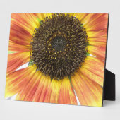 Orange Sunflower Plaque Fotoplatte (Seite)