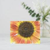 Orange Sunflower Postcard Postkarte (Stehend Vorderseite)