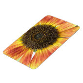 Orange Sunflower Premium Magnet (Linke Seite)