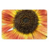 Orange Sunflower Premium Magnet (Horizontal)