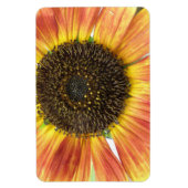 Orange Sunflower Premium Magnet (Vertikal)