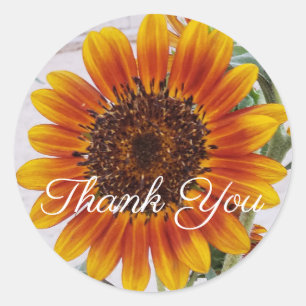 Orange Sunflower Vielen Dank Sticker